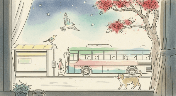 A view from a window looking out onto a quiet street with a bus stop, a tree, and a cat.